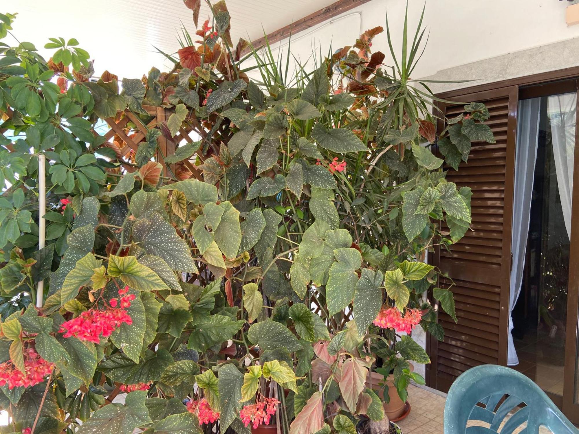 Villa A casa da Maria Luz de Tavira Esterno foto